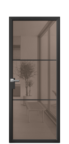 Дверь межкомнатная Фрейм 03 Цвет Черный Покрытие Алюминий  Наличник Скрытый короб Цена 69860